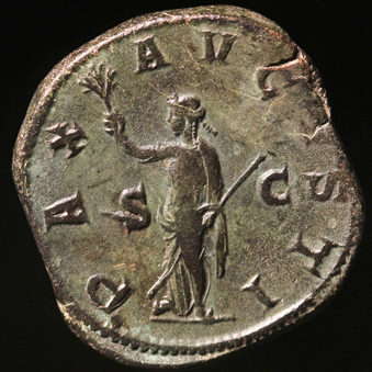 MaximinusThraxPax339R_edited-1.jpg