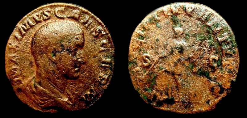 Maximus 1.jpg