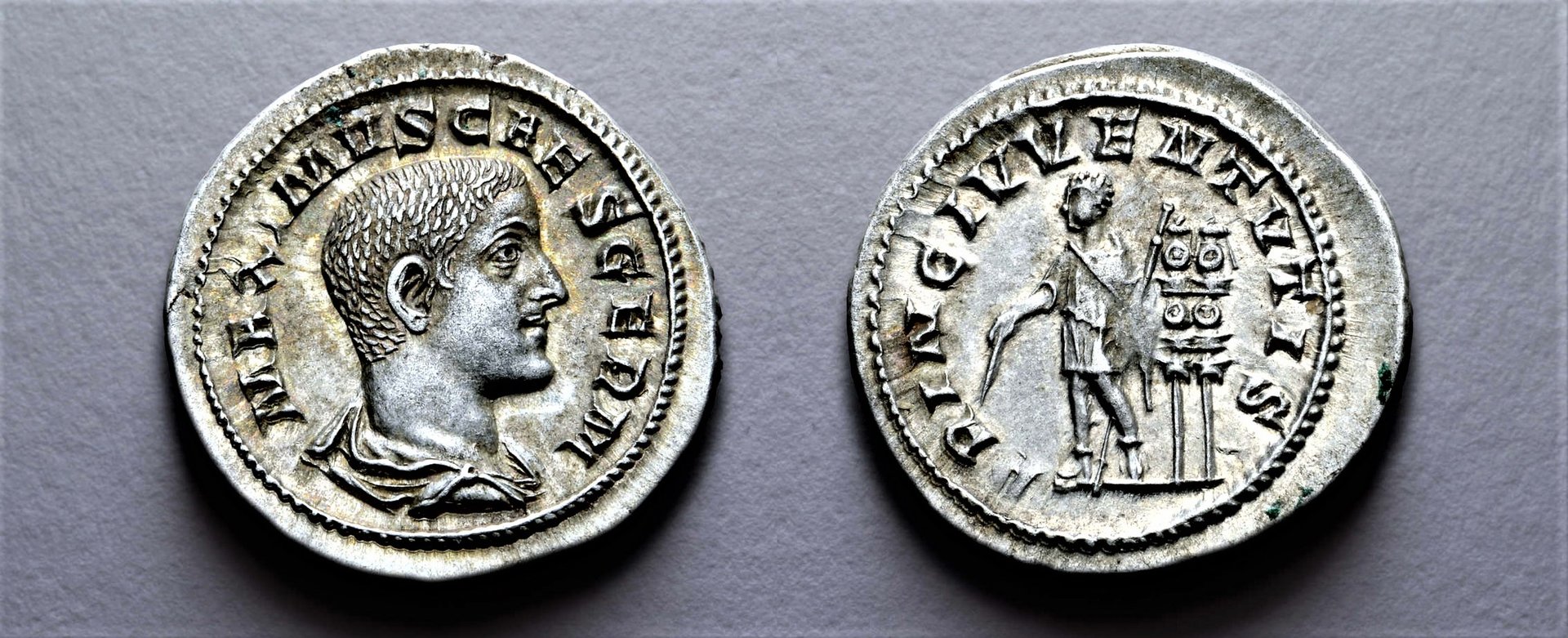 Maximus as Caesar, AD 235-236, Denarius, Rome.jpg