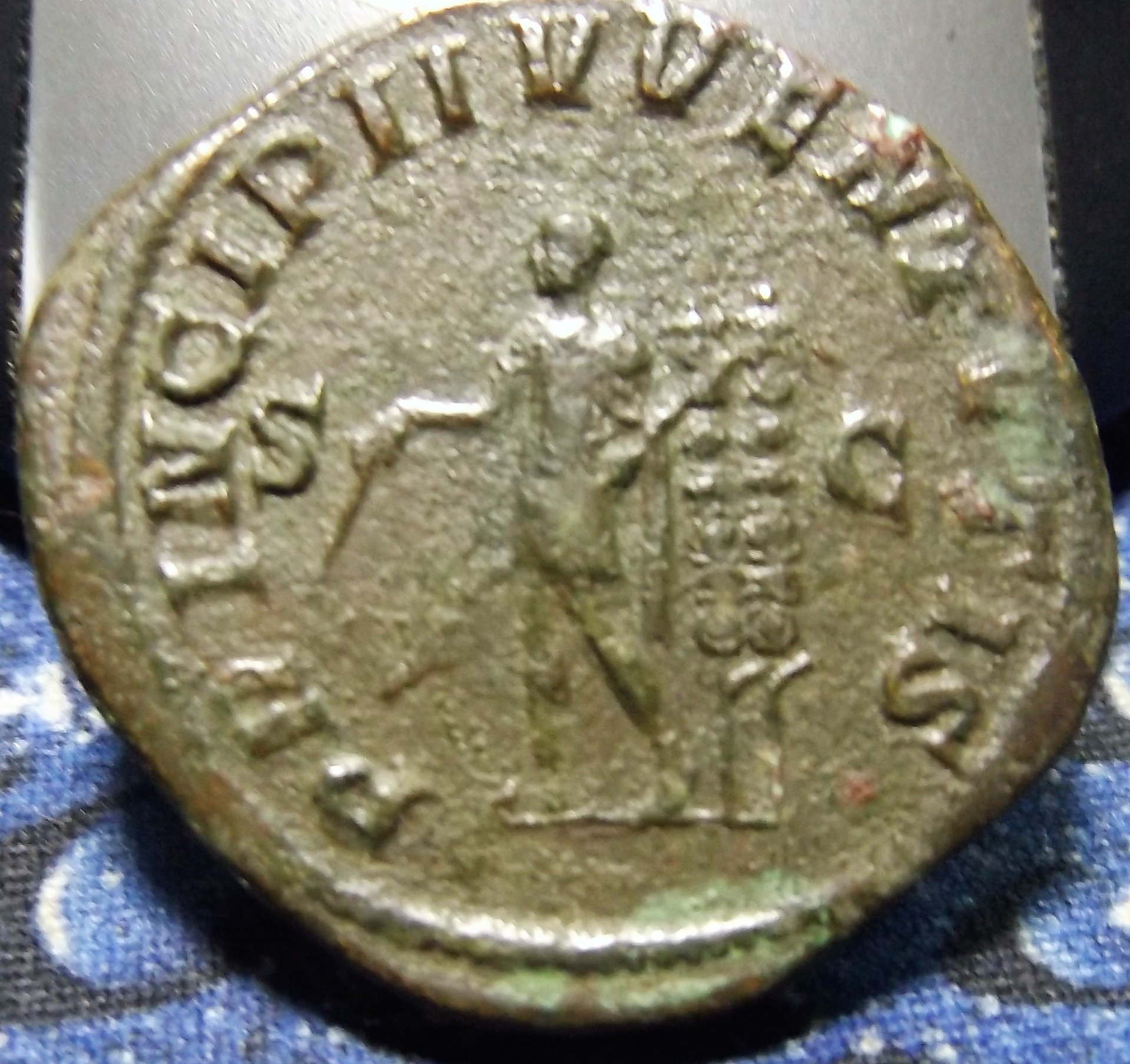 Maximus, son of Thrax 002.JPG