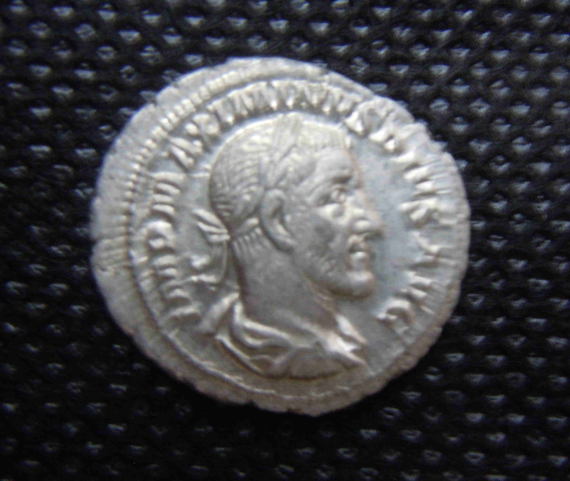 Maximus1.JPG