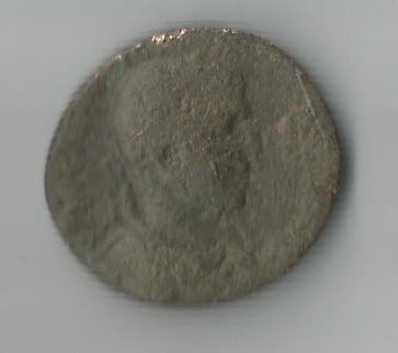 Maxinus1thrx  Anchialus.jpg