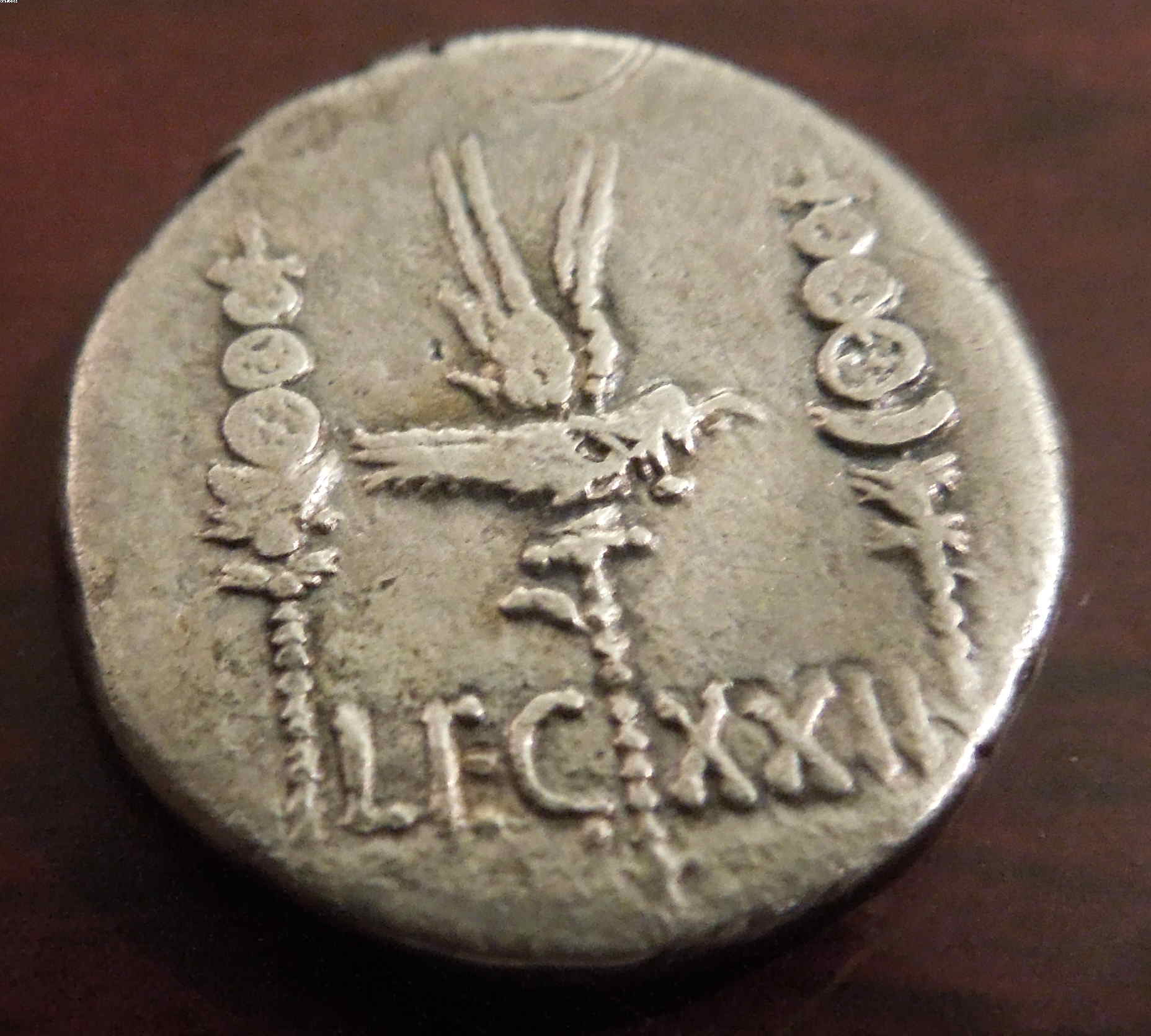 MAXXIIA.JPG