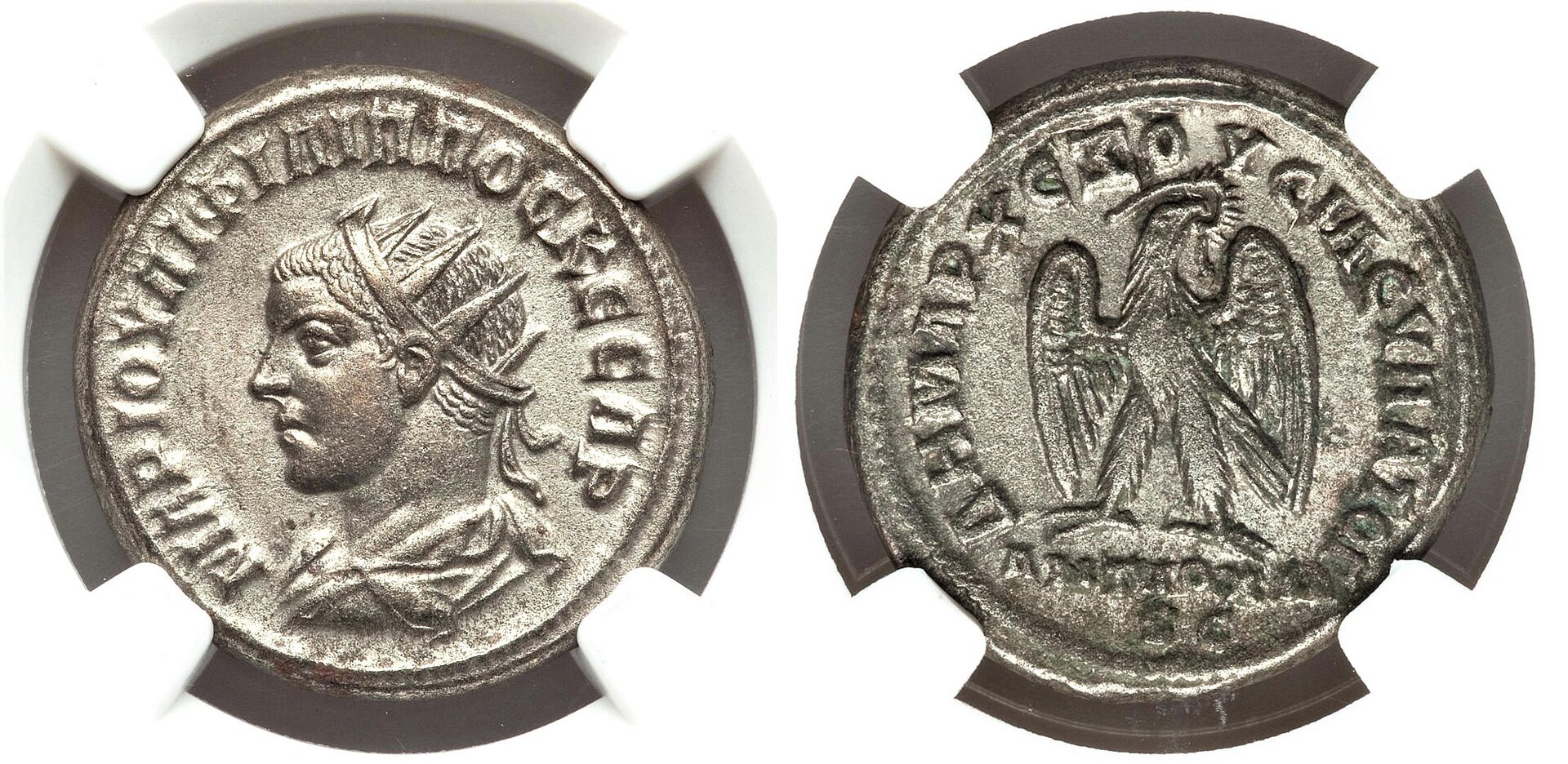 McAlee 1021A, Ex. Rare, AWK.jpg