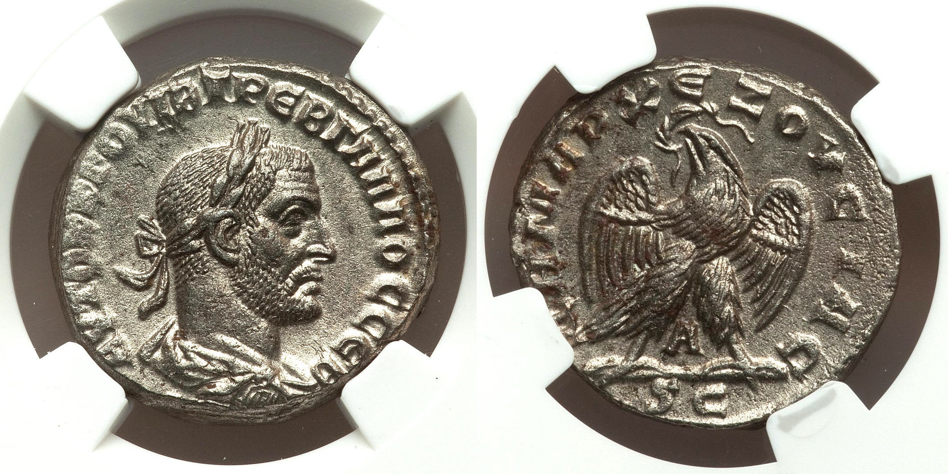 McAlee 1172a, Antioch, Syria.jpg
