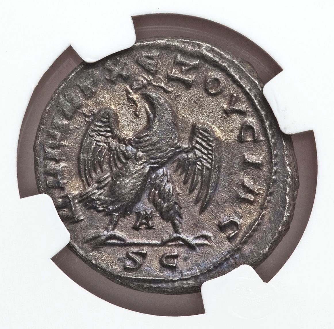 McAlee 1172a, rev..jpg