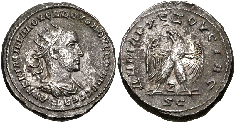McAlee 1187f.jpg