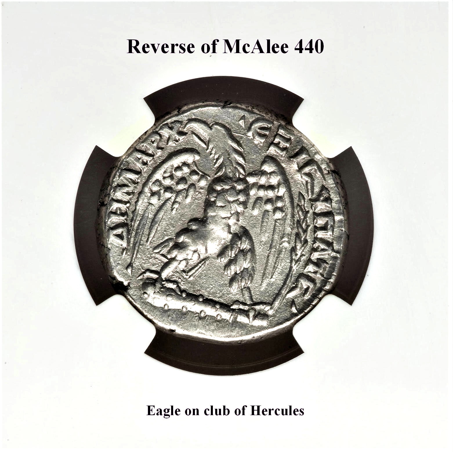 McAlee 440, rev. (2).jpg