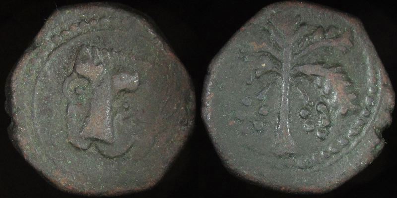 Med-14-INSic-1166-William II LFol-Messina-372.jpg