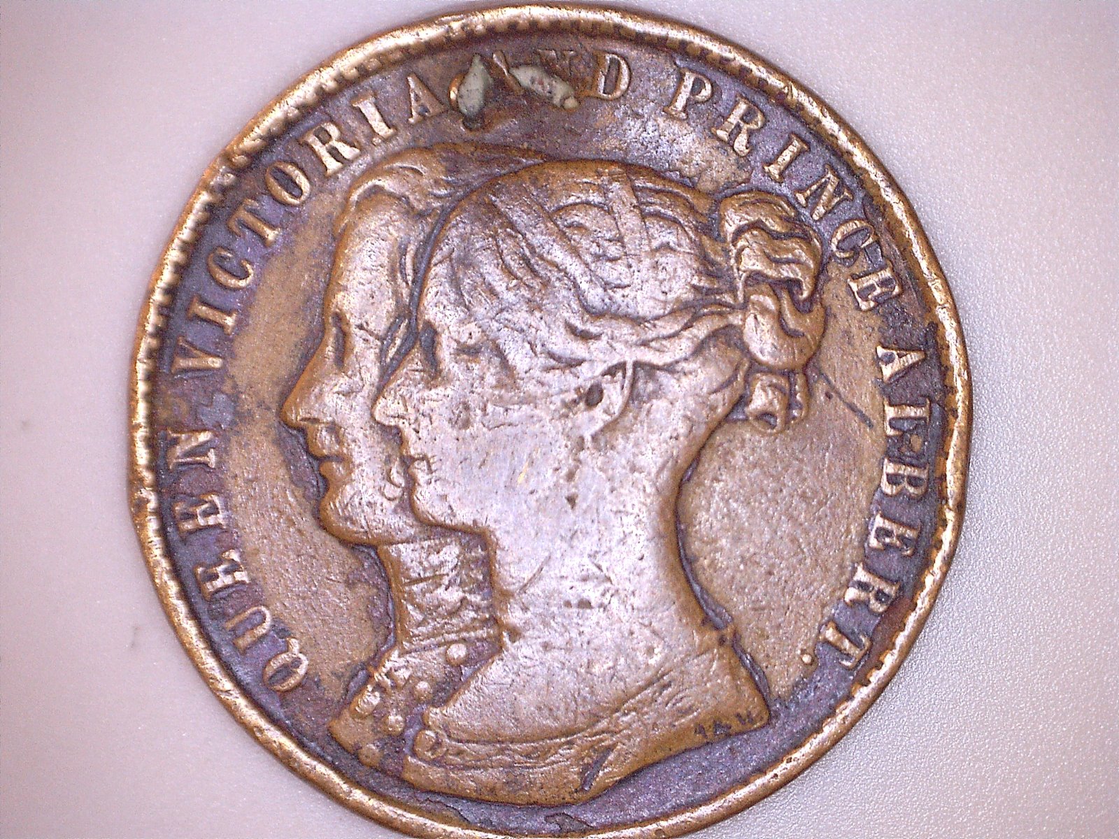 Medallion (Observe).jpg