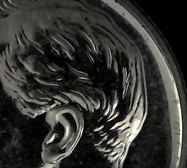 medium spread back of head.PNG