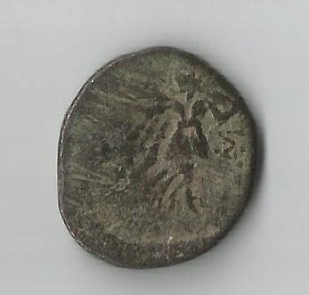 MedsVic R 001.jpg