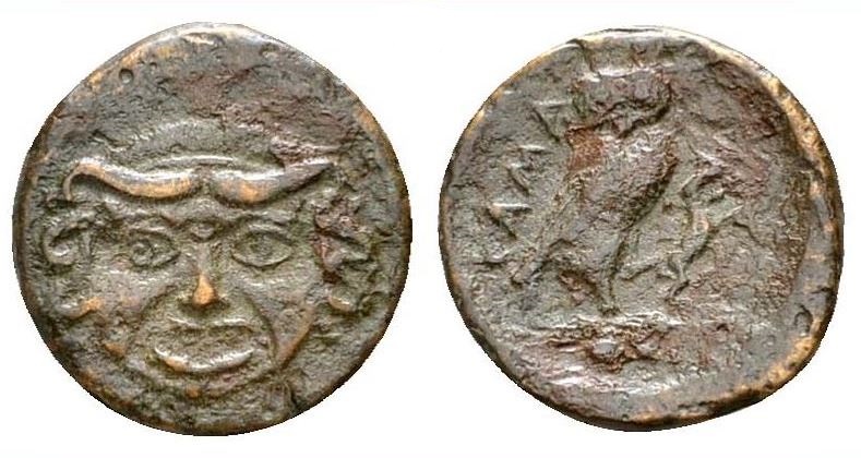 medusa owl lizard.JPG