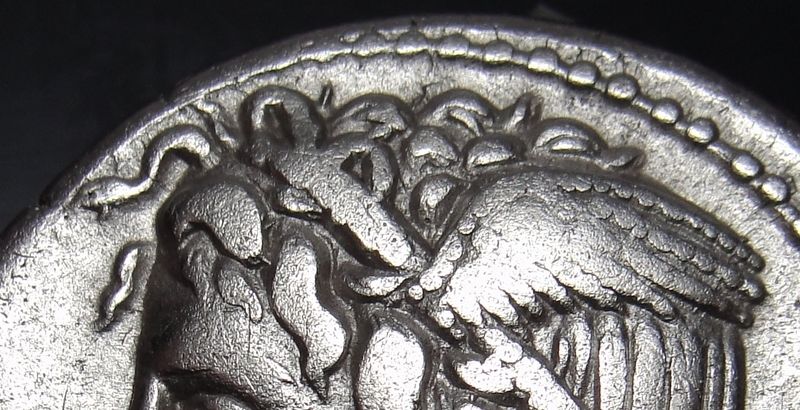 Medusa pegasus snake head sabula.jpg