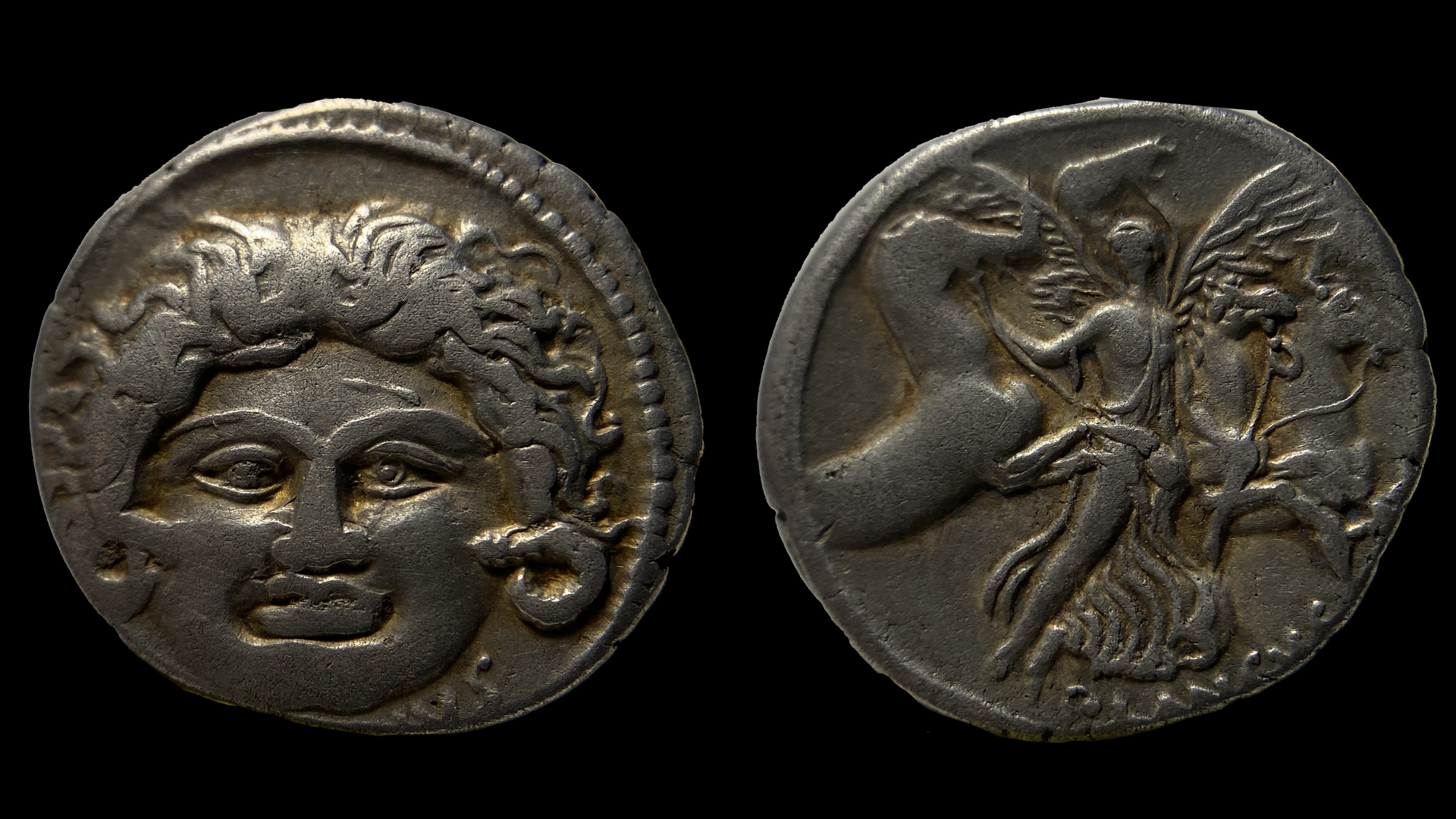 medusa.png