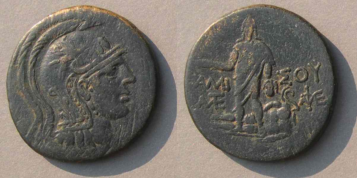 Medusa6685.jpg