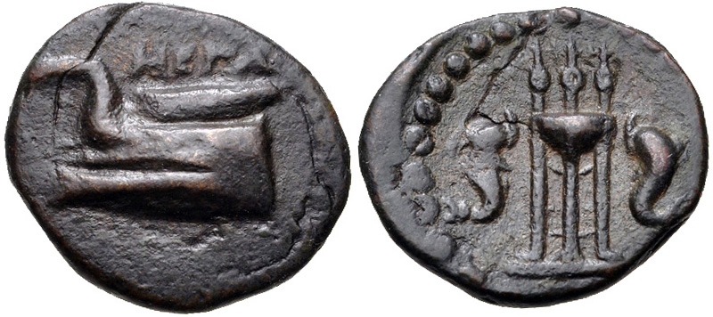 Megaris AE Dichalkon.jpg