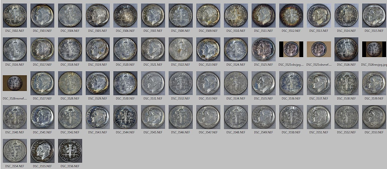 Meghrig Toned Roosevelts_2.JPG