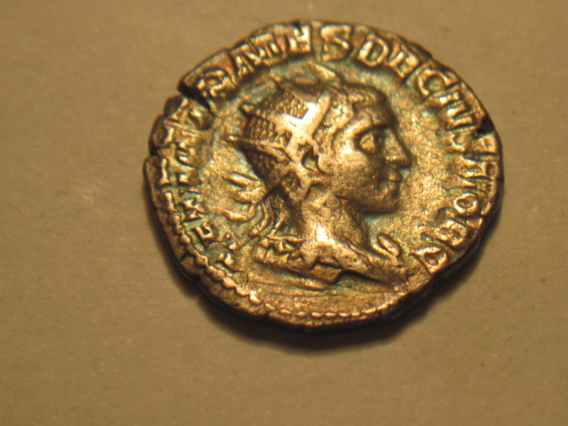 Mela & family, Herinnius Estrucus 004.JPG