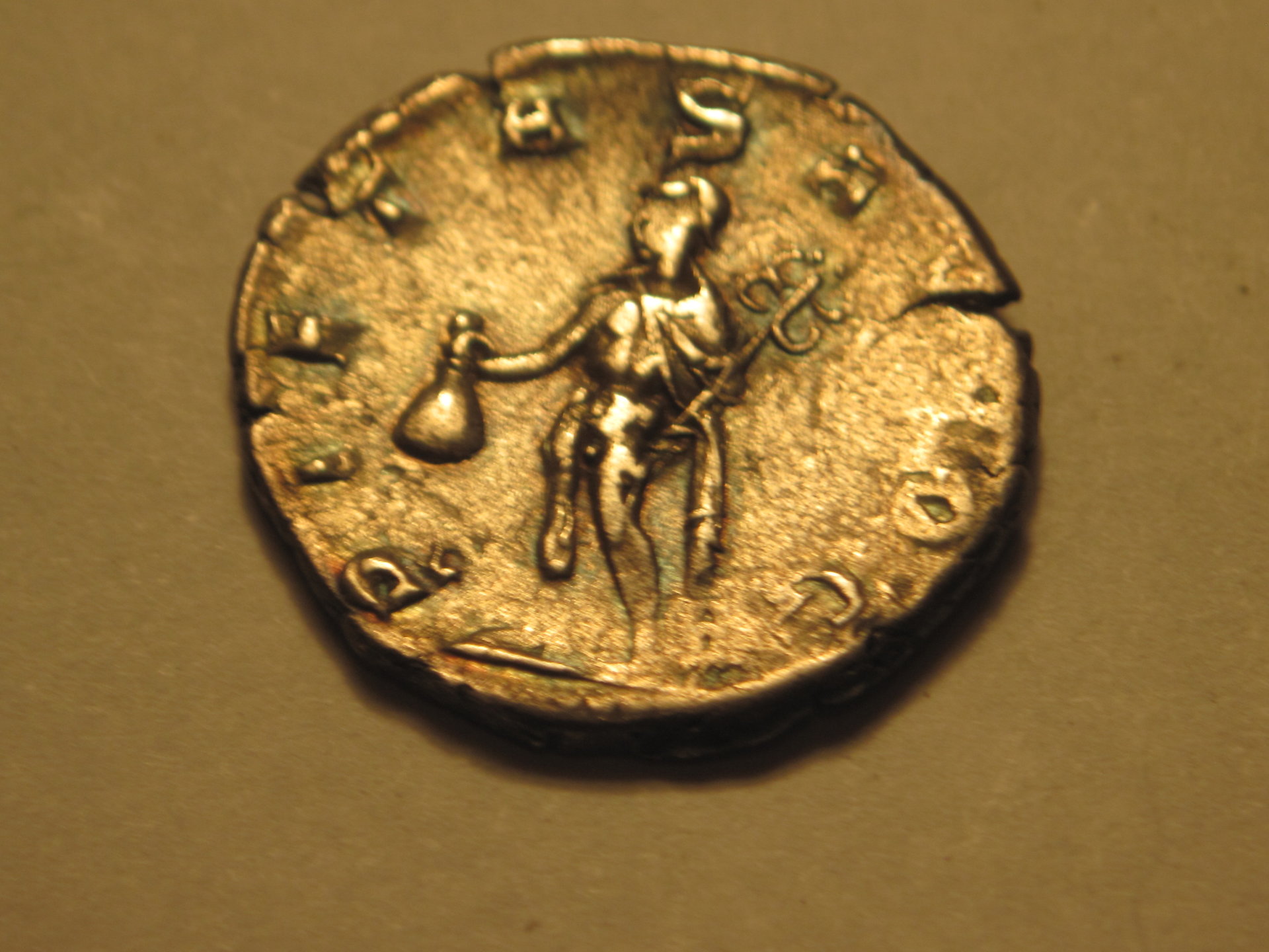 Mela & family, Herinnius Estrucus 005.JPG