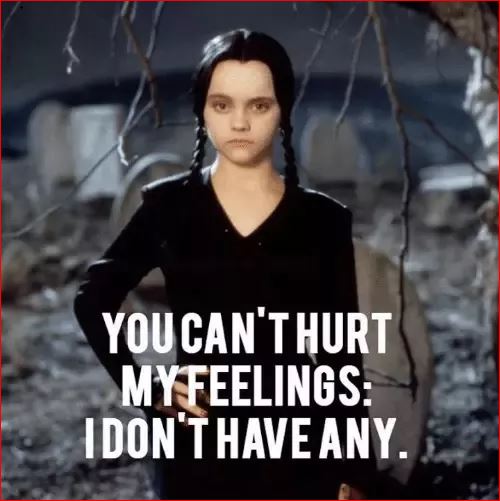 meme - can't hurt feelings.JPG