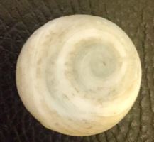 Menora R        Spiral.JPG