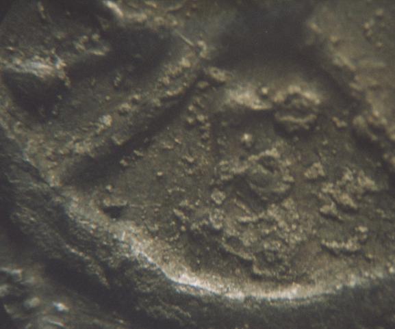 mesembria-r-closeup2-s.jpg
