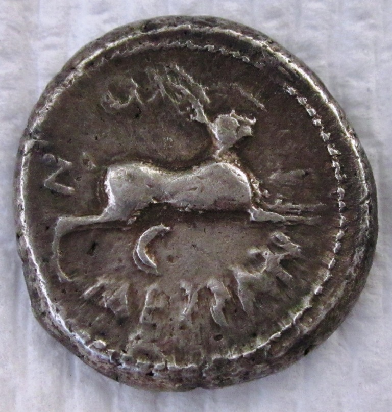 Messana Hare Tet Rev.JPG