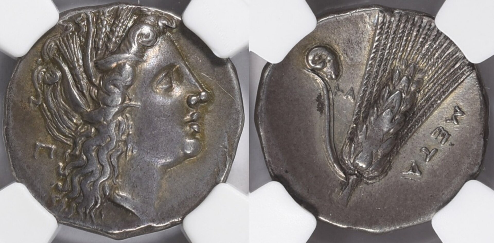 Metapontum.jpg