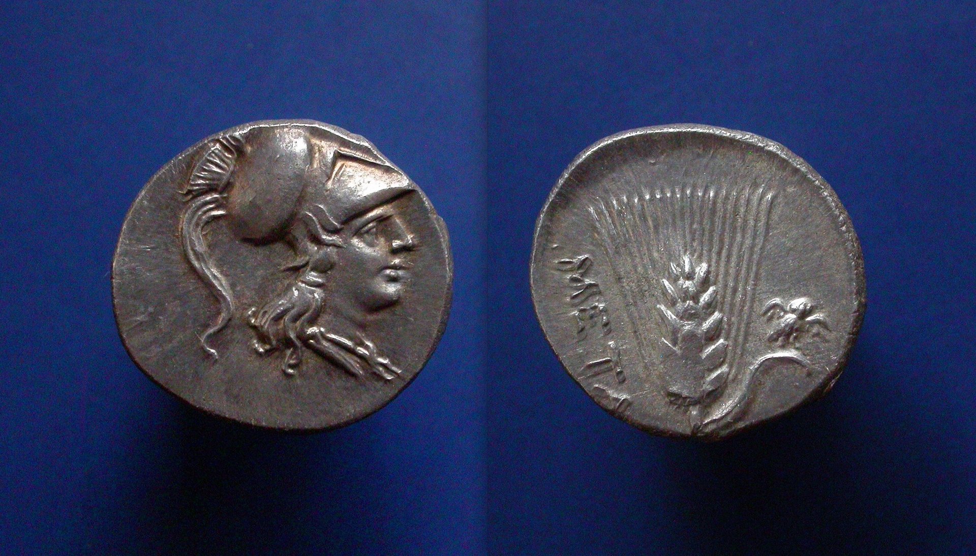 metapontum25.jpeg