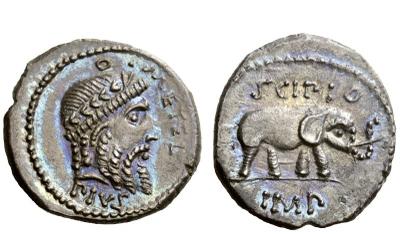 METEL PIVS SCIPIO NAC.jpg