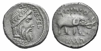 METEL PIVS SCIPIO Roma.jpg