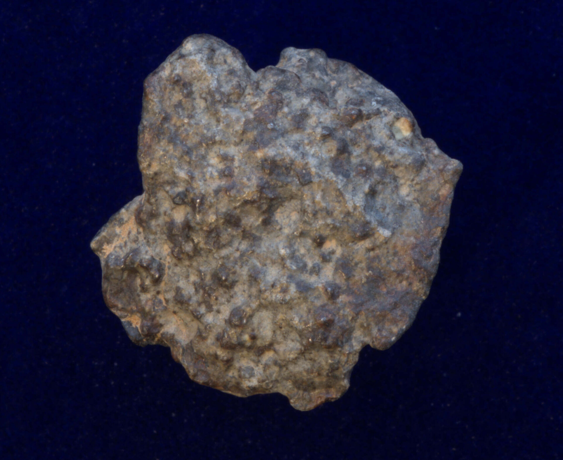 Meteorite Aug-2024.jpg