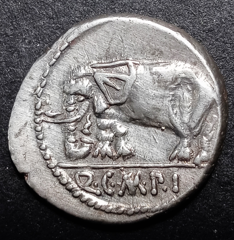 Metullus Pius (Pietas-elephant Rev. 1.jpg