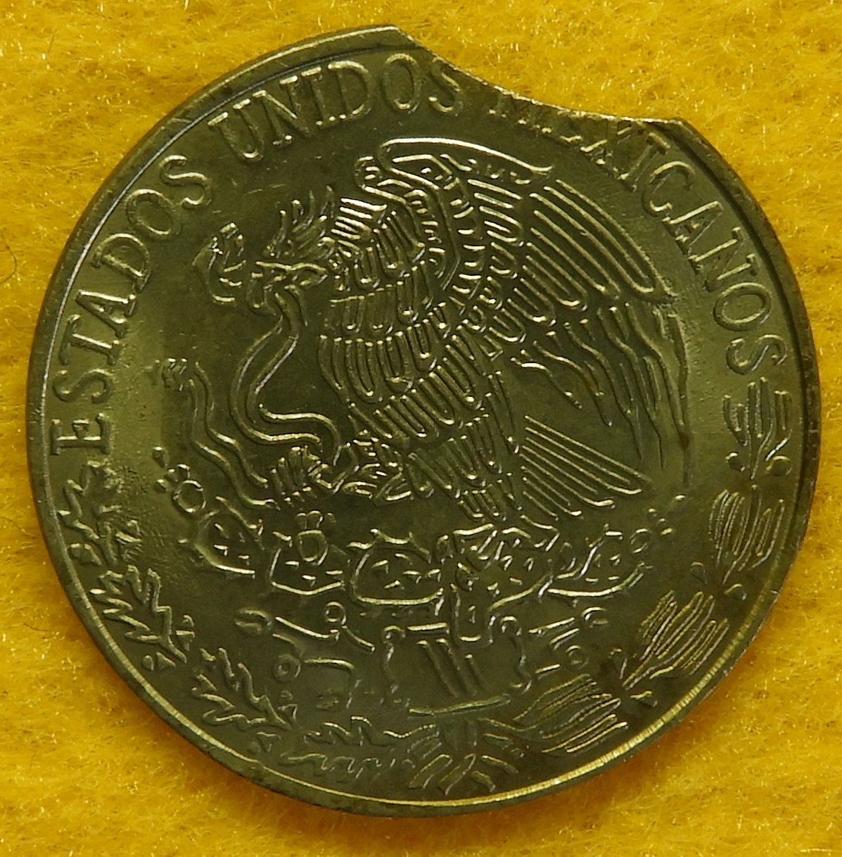 Mexico clip 2.jpg