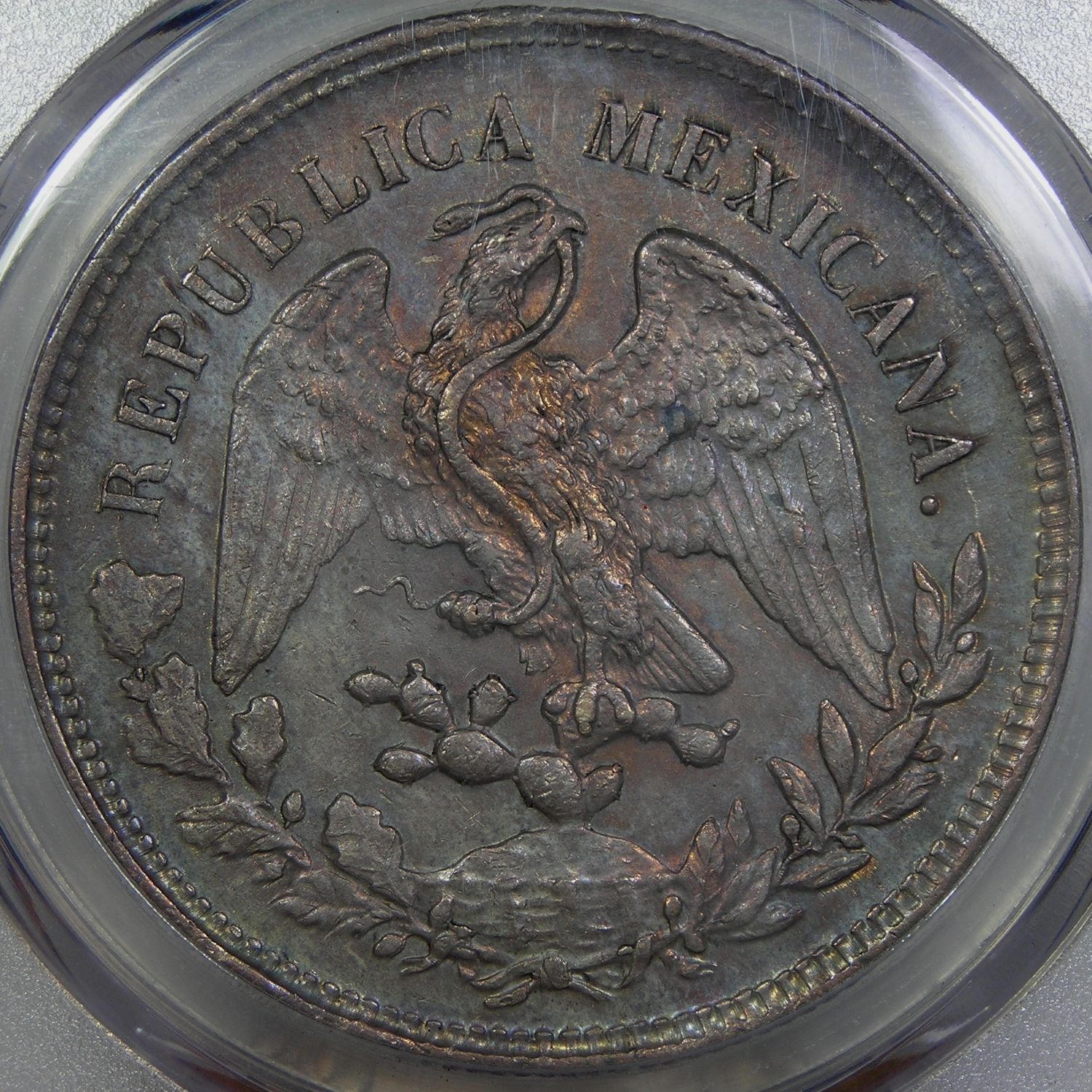 mexico_reverse.jpg