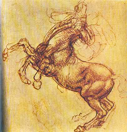 michelangelo study of horses.1.jpg