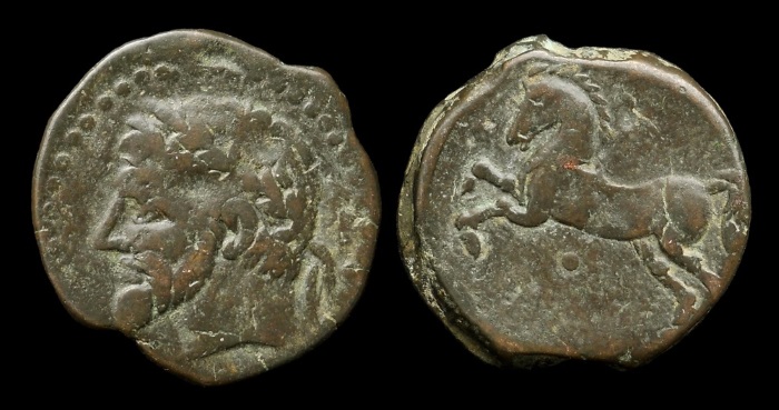 micipsa 7.jpg