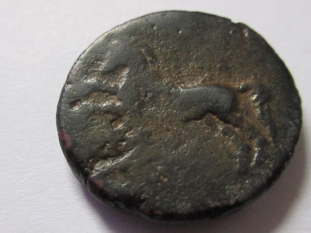 micipsa of numidia reverse.JPG