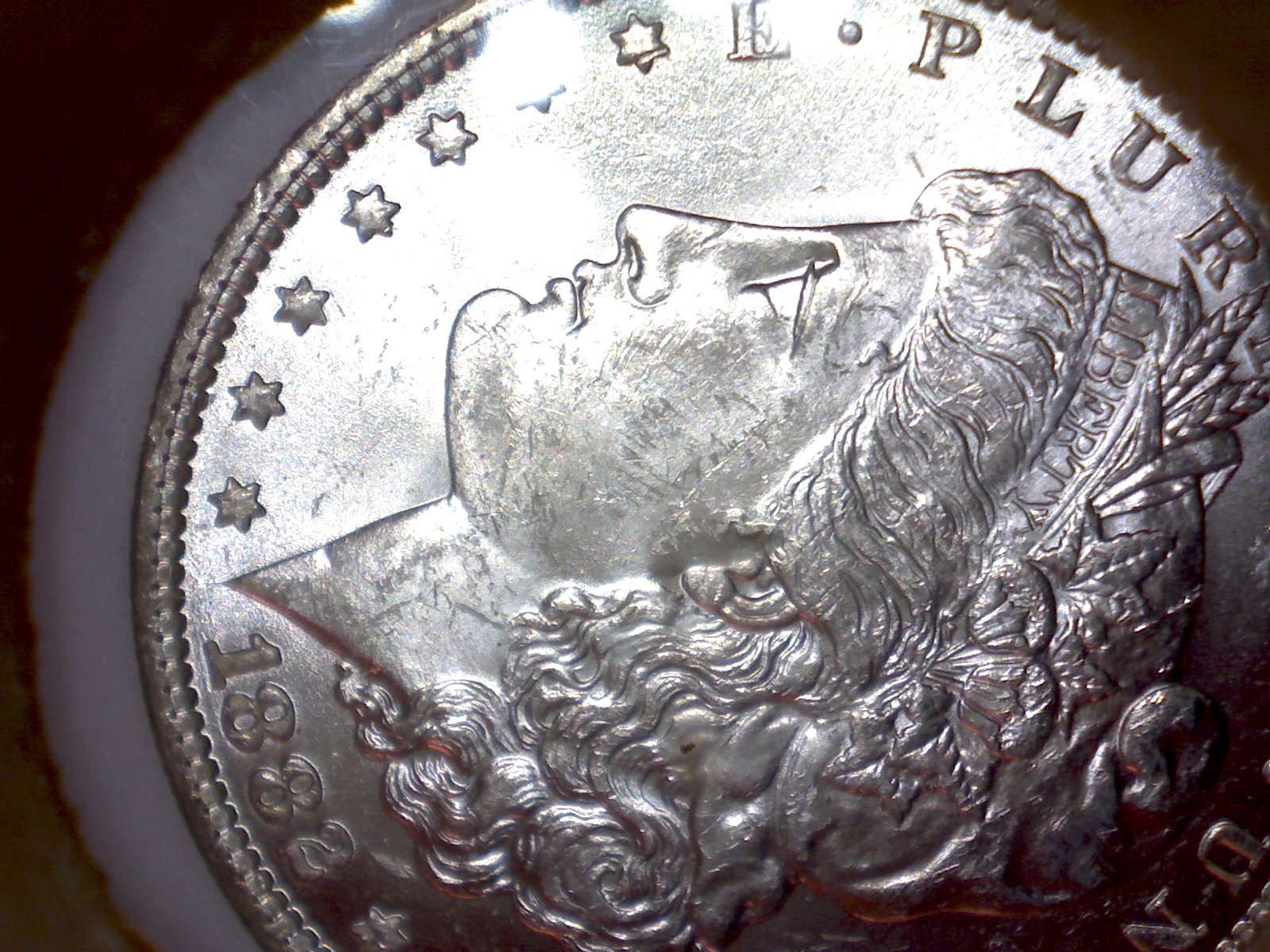 Micro-1882-O-501.jpg