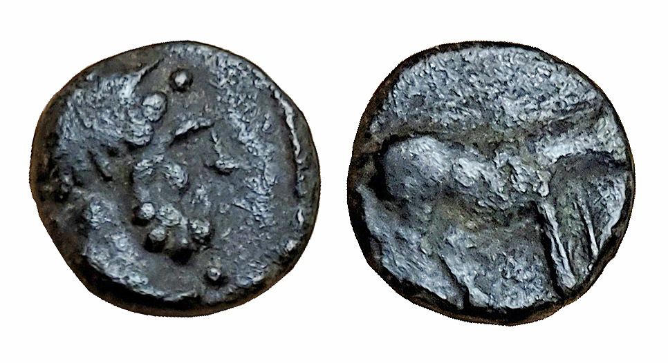 micro monnaie.jpg