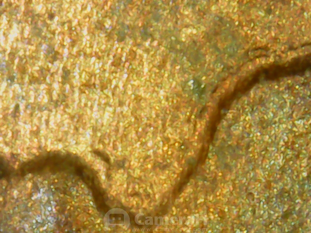 microscope pictures190614_100545.jpg