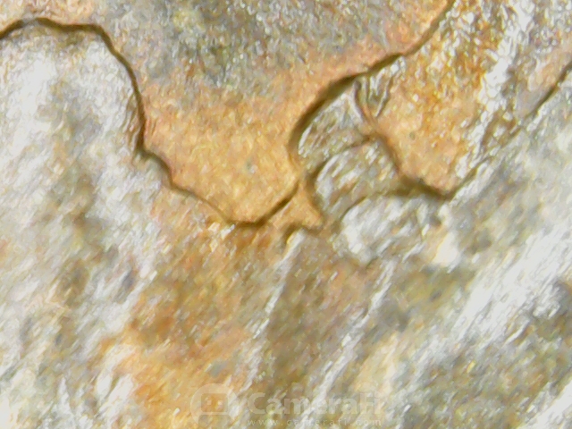 microscope pictures190614_101406.jpg