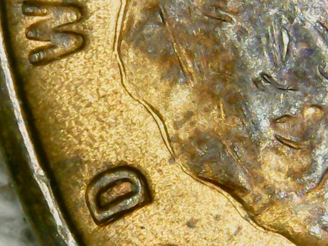 microscope pictures190614_101519.jpg