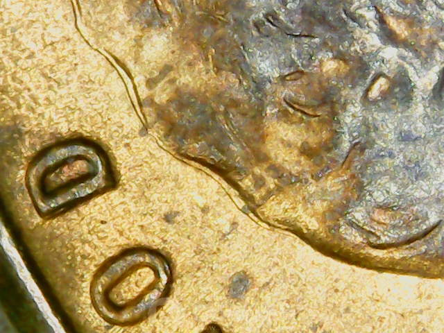 microscope pictures190614_101521.jpg