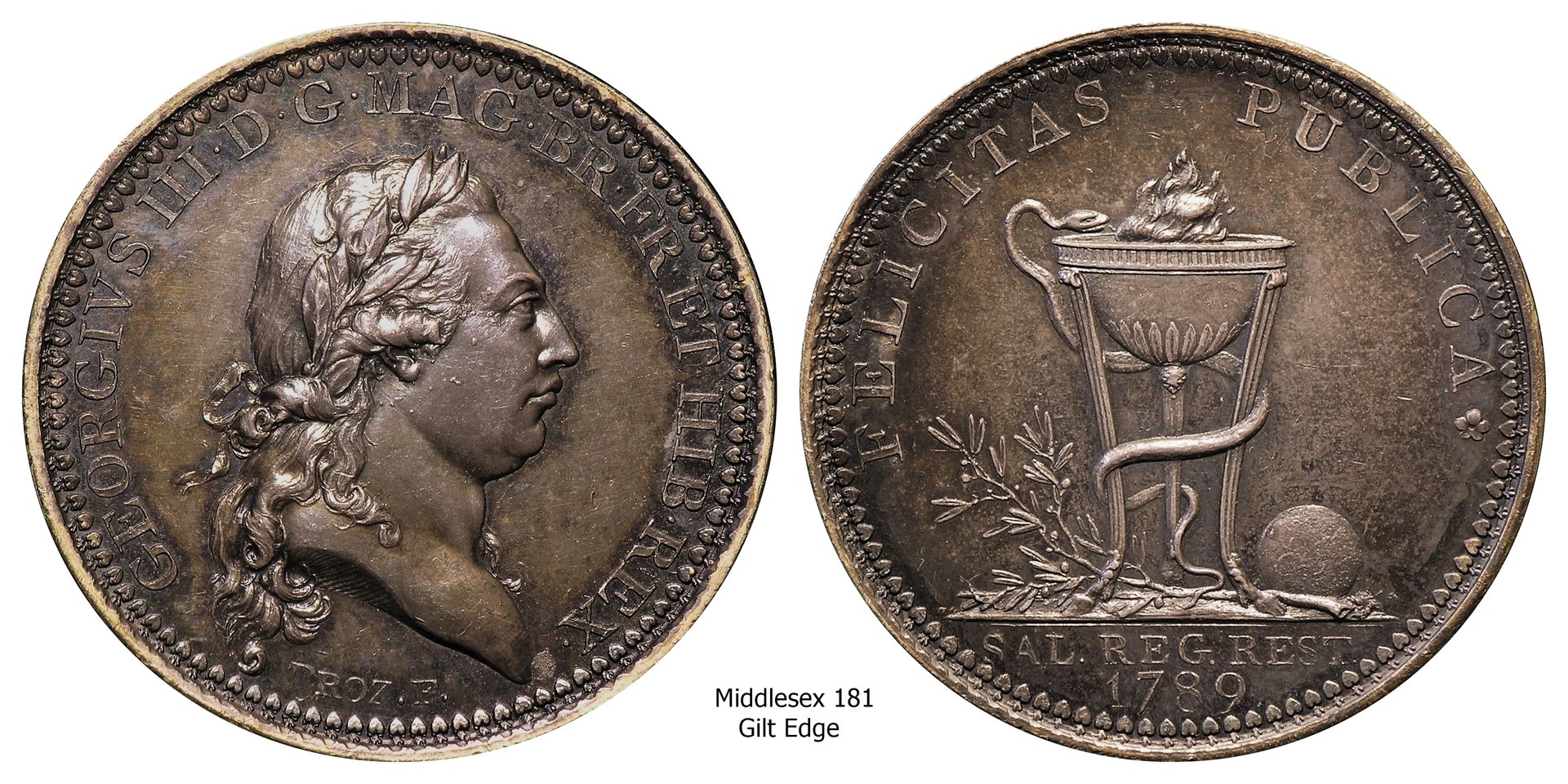 Middlesex 181 gilt edge (1).jpg