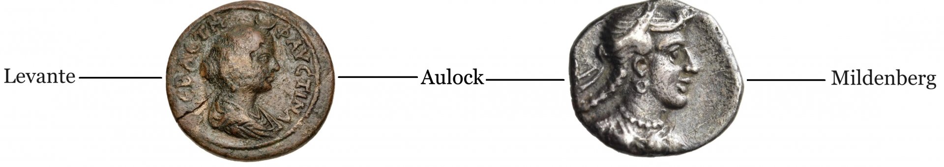 Mildenberg Aulock Levante Network Combined.jpg