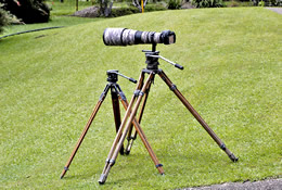 miller-tripods-nikkor.jpg