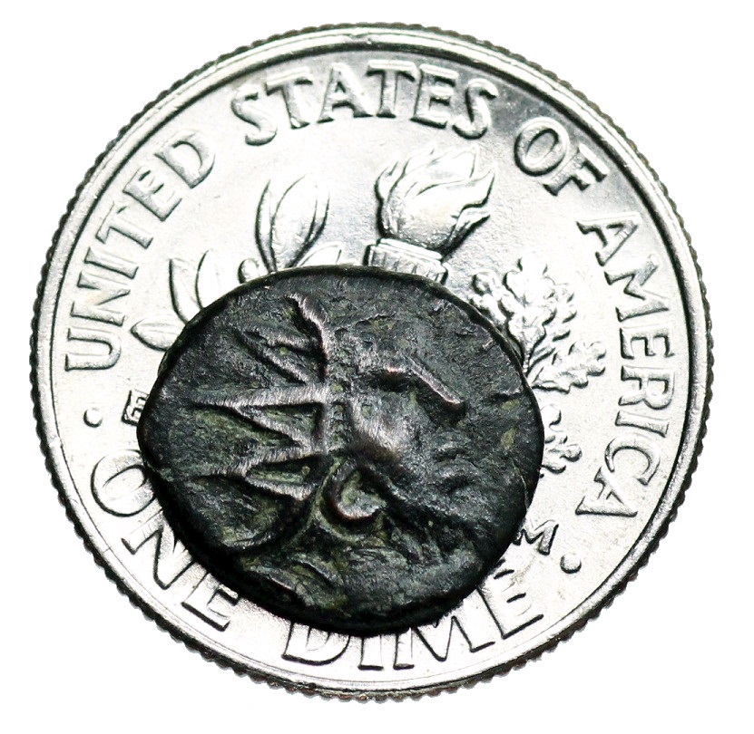 minimi_dime.JPG