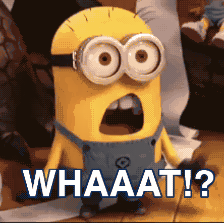 minion-what-gif-11.gif